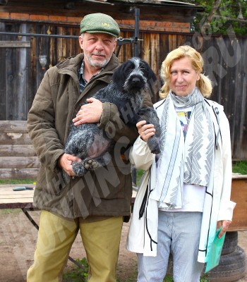 Новые владельцы